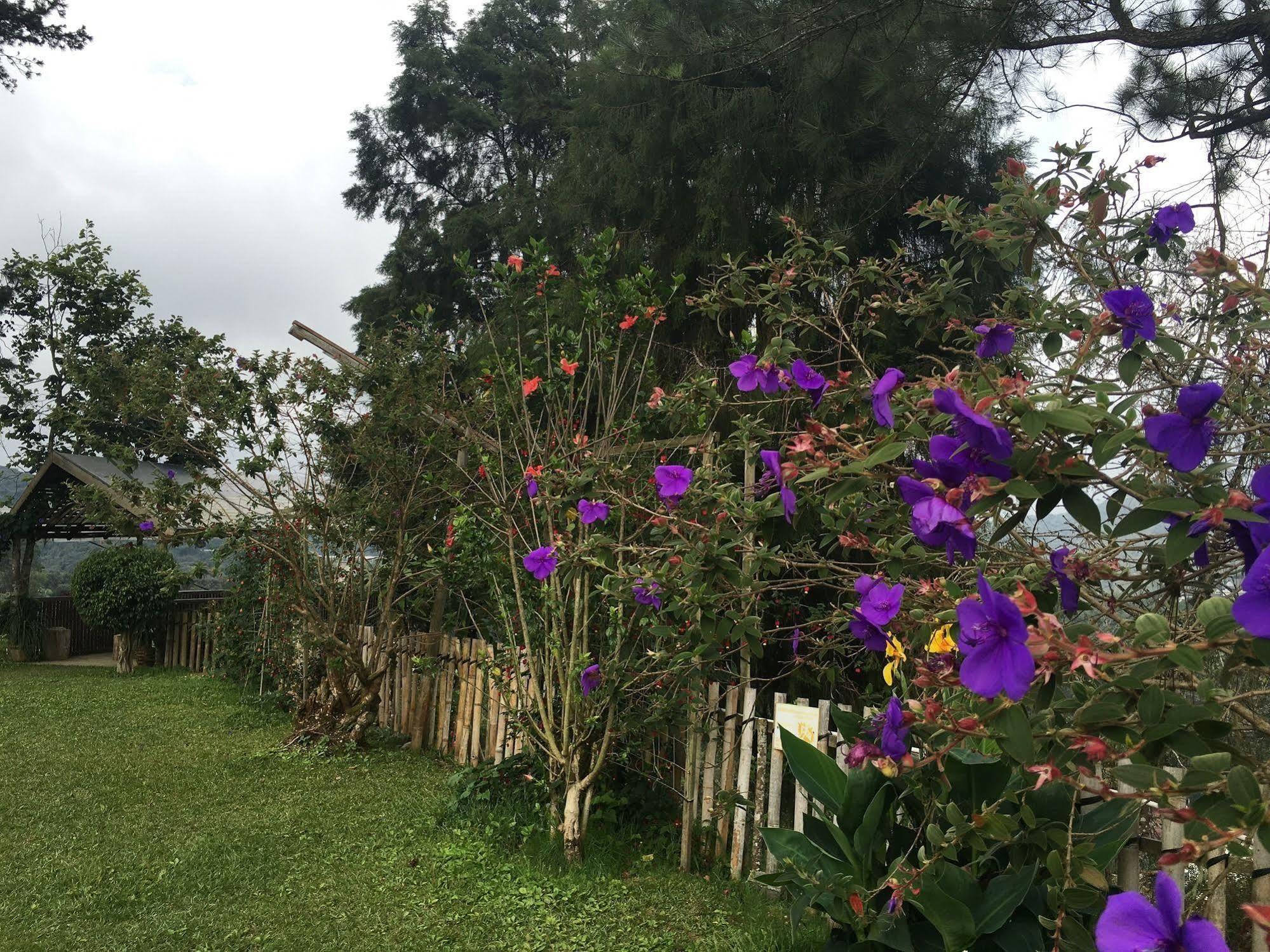 Jim Thompson Cottage Cameron Highlands Exteriör bild